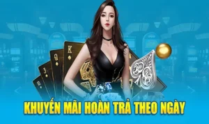 Cách Tận Dụng Tối Đa Hoàn Trả Cược Thua Tại Nhà Cái 009 Casino